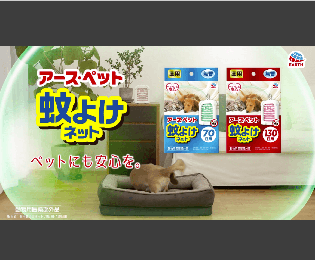 プロモーションビデオ