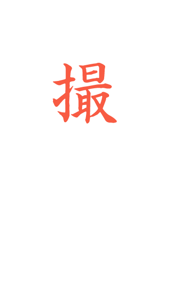 撮影